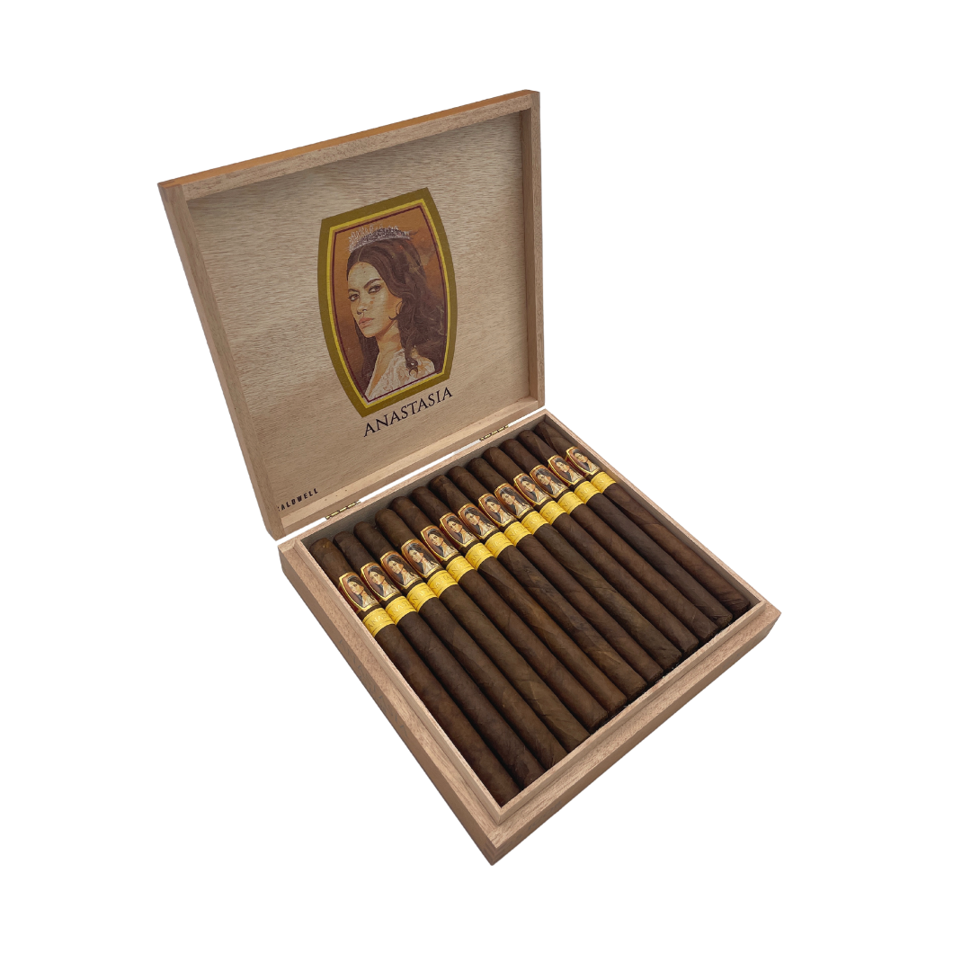 ANASTASIA IGOR 38X7.5